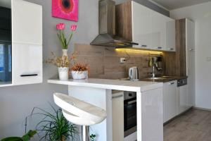 Kuchyň nebo kuchyňský kout v ubytování Apartment Kristina