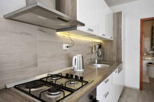 Kuchyň nebo kuchyňský kout v ubytování Apartment Kristina