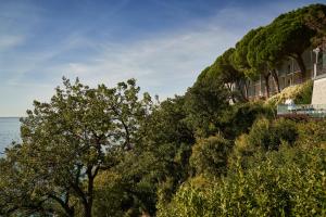 a hill with trees in front of a building at Hotel Riviera & Maximilian's in Trieste