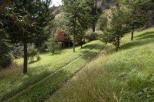 una casa en medio de un campo con árboles en Cabañas Lago Elizalde en Coyhaique