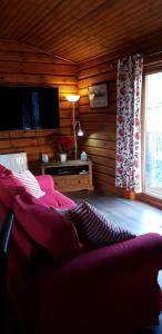 TV a/nebo společenská místnost v ubytování Glenmhor Log Cabin