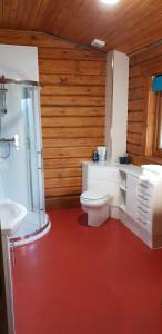 フォート・ウィリアムにあるGlenmhor Log Cabinのバスルーム(トイレ、洗面台付)