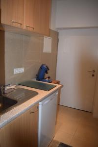 Köök või kööginurk majutusasutuses Apartment Zittera - Adults only