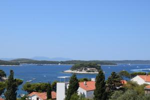 Príroda v okolí hostela