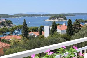 Príroda v okolí hostela