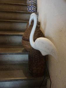 Ein weißer Vogel steht auf einer Treppe in der Unterkunft La Maison narbonnaise in Narbonne