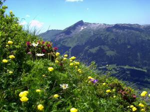 Ein allgemeiner Bergblick oder ein Berglick von der Ferienwohnung aus