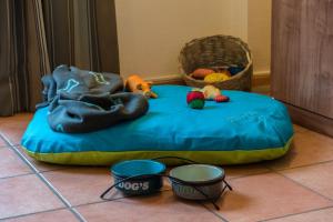 einem Sitzsack mit blauen Bohnen, Obst und einem Korb in der Unterkunft Hund im Glück in Wangerooge