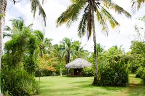 Zahrada ubytování Aventura Rincon Ecolodge