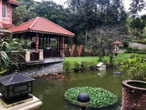 a garden with a pond with a gazebo at Sapa Garden Bed and Breakfast in Sapa