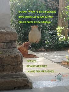 Kép Giardino Nascosto szállásáról Tavianóban a galériában