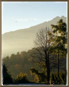 a tree in the foreground with a mountain in the background at Cuntro' Granda in Boves