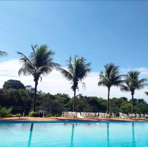 a large swimming pool with palm trees in the background at Estancia Montagner in Paulínia