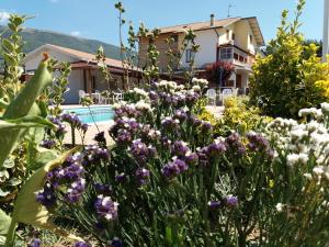 Zahrada ubytování Bed & Breakfast Ciancaleoni