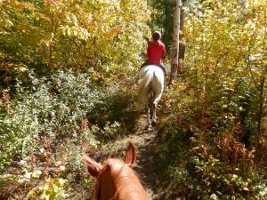 a person riding a horse on a trail in the woods at Mica Mountain Lodge & Log Cabins in Tête Jaune Cache