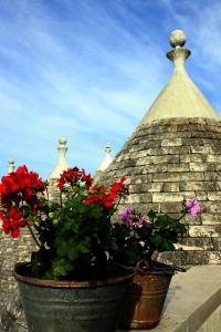 Fotografie z fotogalerie ubytování Masseria Peppeturro v destinaci Cisternino