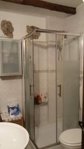 a bathroom with a shower with a toilet and a sink at IL GECO in Genova