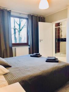 Posteľ alebo postele v izbe v ubytovaní Apartament SONIA