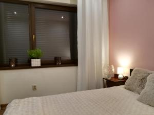 Łóżko lub łóżka w pokoju w obiekcie Apartament wSPAniały.