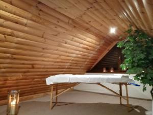 Pokój z drewnianą ścianą z ławką i rośliną w obiekcie Apartament wSPAniały. w mieście Kowary