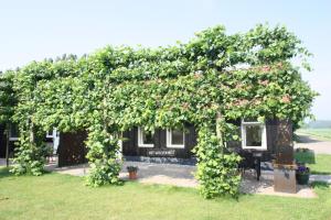 Zahrada ubytování Park Nieuwgrapendaal