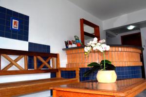 a potted plant sitting on a table in a room at Coliseu Palace Residence in Florianópolis
