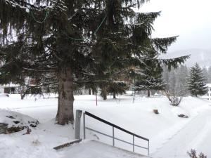 a tree in the snow next to a fence at Sursilvana 18 (317 Ma) in Lenzerheide