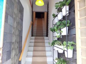 a stairway with potted plants on a wall at The Serai Cottage Transit Hotel in Kampong Gong Badak +1 photo