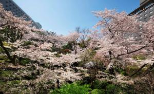 Zahrada ubytování Grand Prince Hotel Shin Takanawa