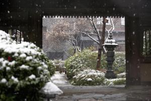 Grand Prince Hotel Shin Takanawa v zimě
