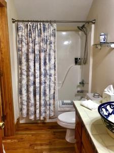 a bathroom with a toilet and a shower curtain at River ' s Edge Inn in Brownwood