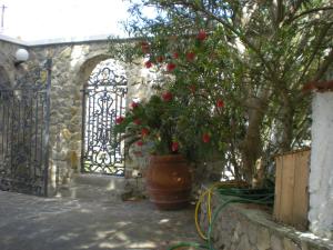 A garden outside Villa Pina