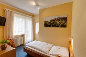 a hotel room with a bed and a window at Hotel Papp-Mühle in Zersen