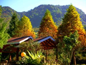 Paisagem natural perto do resort