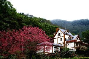 Paisagem natural perto do resort