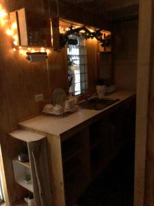 耐莉灣的住宿－SEA-green，厨房配有水槽和带灯的台面