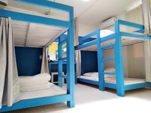 a group of blue bunk beds in a room at Slow Citi Guest House in Seogwipo