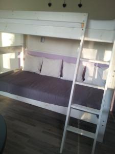 een slaapkamer met een stapelbed en een ladder bij B&B Dirosa in Onderdijk