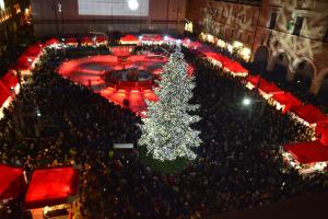 an overhead view of a christmas tree in a crowd at ColleMare in Pesaro