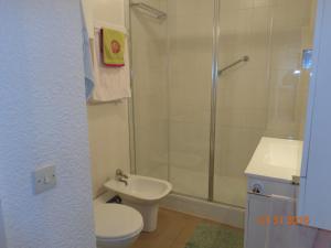 een badkamer met een douche, een toilet en een wastafel bij Duplex en Hendaye in Hendaye