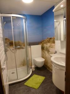 a bathroom with a shower and a toilet and a sink at IMMEUBLE Panorama in Les Collons