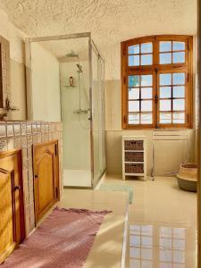 a large bathroom with a shower and a sink at Villa Tricia Cannes in Cannes