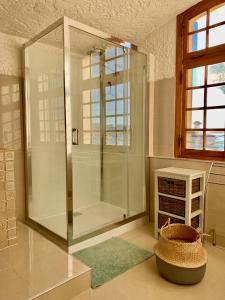W łazience znajduje się przeszklony prysznic z zielonym dywanem. w obiekcie Villa Tricia Cannes w Cannes