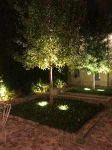 un árbol con luces en un patio por la noche en Le Case Di San Vitale Easy, en Rávena