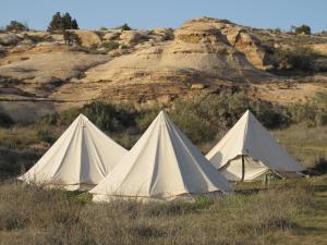Gallery image of Rummana Campsite in Dana +9 photos