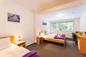 Postel nebo postele na pokoji v ubytování Hotel&Wellness Knížecí rybník