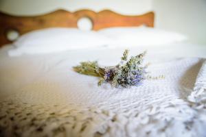 Fotografie z fotogalerie ubytování Къща за гости Българа v destinaci Vetren