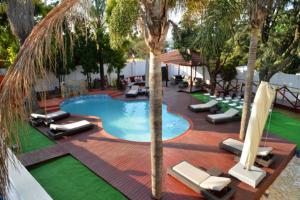 a swimming pool with lounge chairs and a palm tree at Soul Discovery Boutique Hotel & Spa in Pretoria