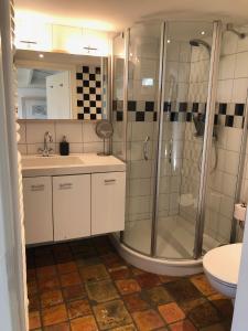 a bathroom with a shower and a sink and a toilet at Slapen op het platteland in Bodegraven