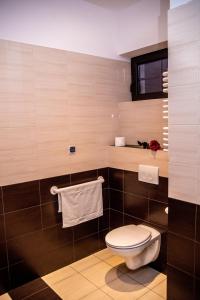 a bathroom with a toilet and a window at Hotel Artur in Oświęcim